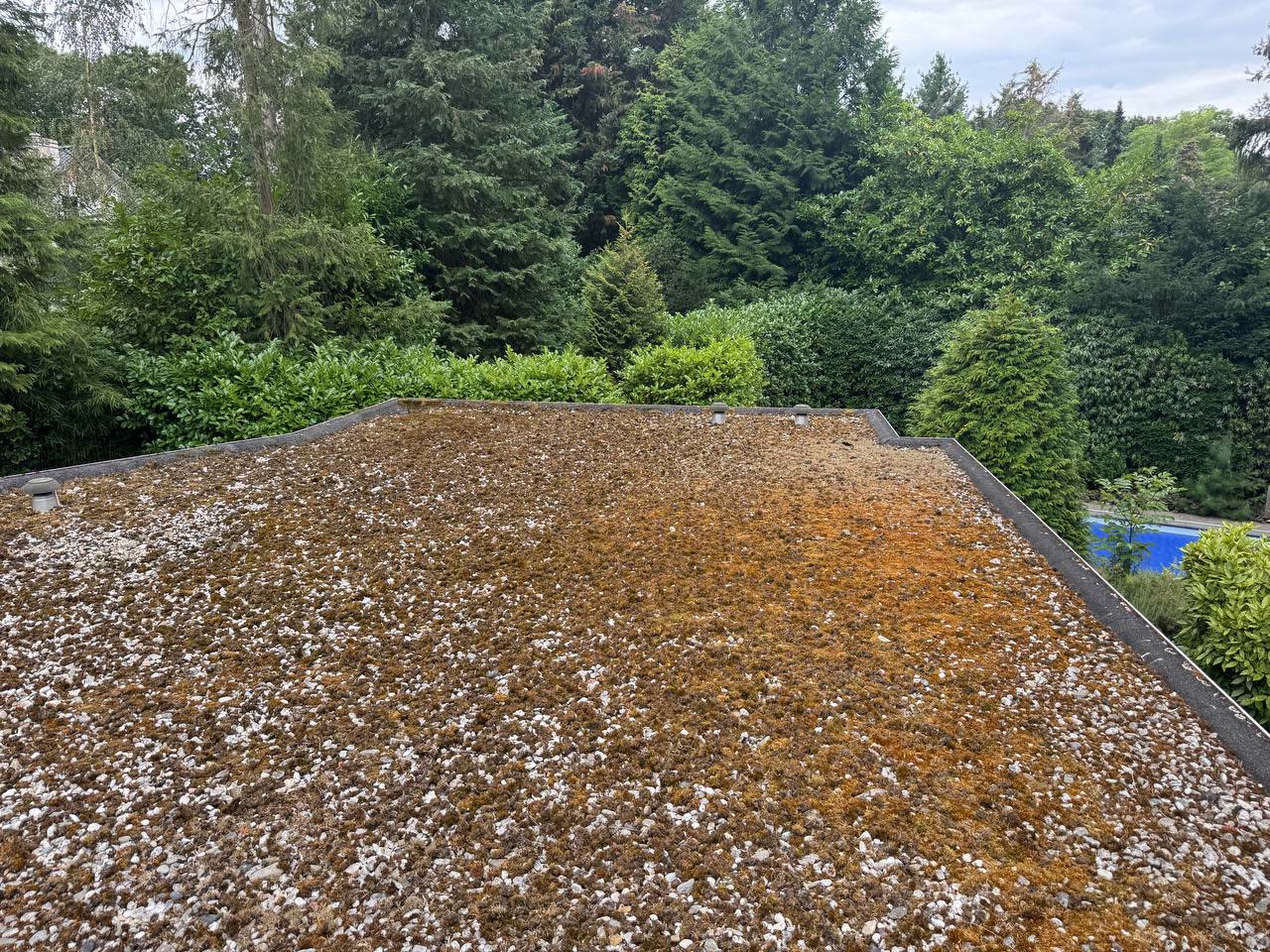 Plat dak met achterstallig onderhoud, project van TBGS in regio Eindhoven